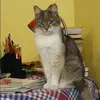 Отзыв от Вера Дьяконова